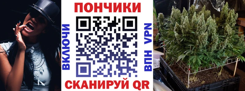 Купить наркотики цена Ясногорск ГАШ  Псилоцибиновые грибы  МЕФ 