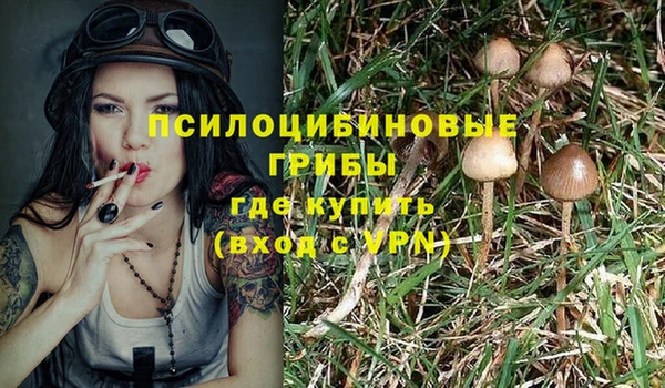 дурь Армянск