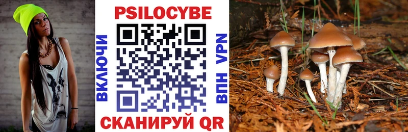 Галлюциногенные грибы прущие грибы MEGA ссылки Ясногорск хочу